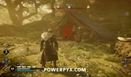 小杨嫂爆料孩子视频大全