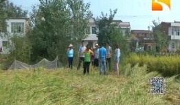 湖北垄上行在线观看,在线观看带你领略荆楚大地风土人情