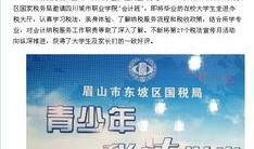 美国税局最新爆料新闻,揭秘巨额逃税案件及内部调查进展