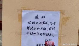 战犯牌位爆料视频大全最新,最新爆料视频大全深度解析