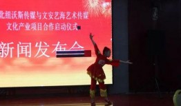 文安一中爆料新闻视频,揭秘校园热点事件