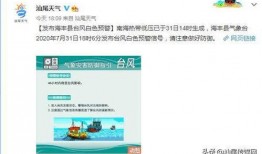 海丰最新爆料消息,揭秘事件背后惊人真相
