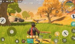 赏金猎手爆料视频,视频内容深度解析