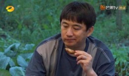 何炅爆料彭昱畅黄渤视频,揭秘幕后趣事