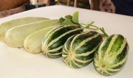 最新网红吃瓜爆料,娱乐圈最新惊天大瓜，揭秘明星背后惊人真相！