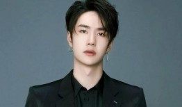 国内爆料王一博赵丽颖视频,甜蜜瞬间引网友热议