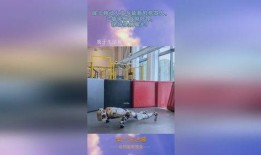 爆料机器怎么做视频,如何轻松制作视频内容