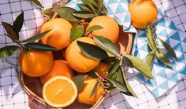 老橙子最新爆料新闻,揭秘娱乐圈最新劲爆新闻