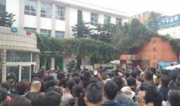 昆明小学爆料事件最新,揭开校园安全与监管的隐忧