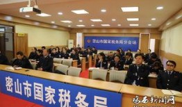 美国税局最新爆料新闻,揭秘巨额逃税案件及内部调查进展