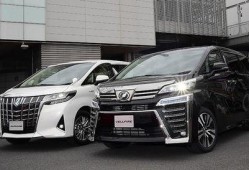 阿尔法最新爆料,揭秘科技巨头背后的秘密与未来趋势