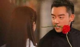 刘诗诗爆料郑凯视频播放,揭秘娱乐圈幕后真相