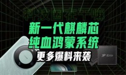 野生麒麟爆料大全视频网,野生麒麟爆料大全视频网深度解析