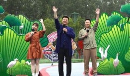 王大锤最新爆料新闻视频,揭秘娱乐圈惊人内幕！