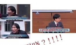 新闻记者式爆料情侣,明星情侣甜蜜恋情曝光，甜蜜瞬间引网友热议