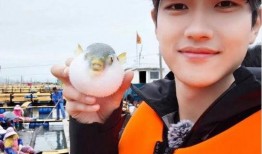 金莎小男友爆料视频,揭秘明星恋情背后的真相