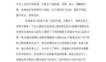 幼儿园最新爆料新闻稿范文,温馨教育环境下的快乐成长
