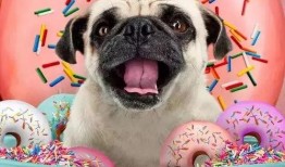 巴哥爆料五月限定视频,五月限定视频精彩内容大曝光